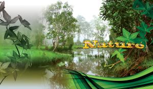 Nature backwater with greenery around on a green background