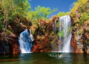 Waterfall Symphony | Waterfalls and Rapids in Sprightly Landscapes