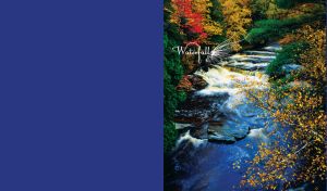 Mountain river with rapids within autumn forest along the banks on a navy background