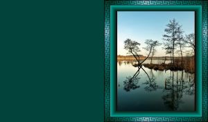 Autumn trees on grass bumps in the water on dark teal