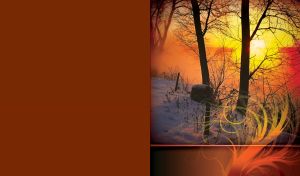 Whispers of Nature in the Golden Hours | Scenic Views Ornated with a Translucent Swirl Decor