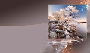 White rime ice trees on a frozen riverbank on a grey-brown gradient
