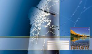 Nature Miniatures against Harmonious Closeups