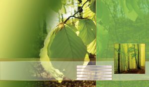 Miniature of a forest in the daytime mist on a green closeup of summer leaves