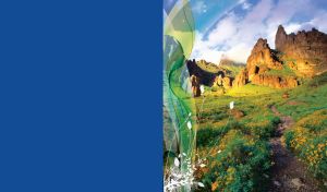 Landscape of a sunny valley of yellow flowers and a footpath to the rocks