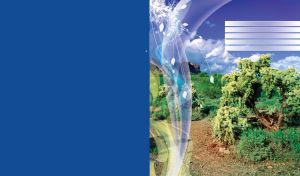 Footpath through the green bushes,grass, and tress in the daylight