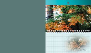 Brown and green leaves of autumn trees on the cover of a checked notebook