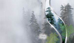 Dark green forest in the white mist behind the grey curtains of smoke