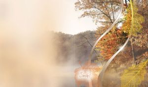 Hill of golden autumn forest in the daylight behind the beige curtains of smoke