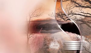 Forest on the bank of a river in the morning behind the beige curtains of smoke