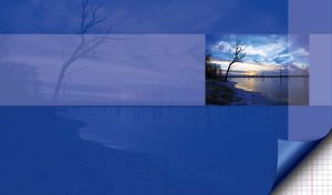 Polar frozen lake in sunset from which tree trunks rise and snow lays on the bank