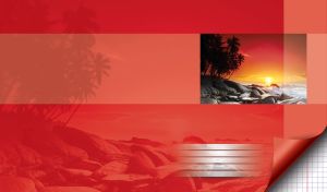 Tropical palm trees in the orange sunset on the wild stone beach