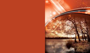 Birch grove on the shore of the lake in red dusk under a dome