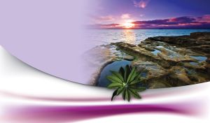 Green leaves on a rocky seashore in the red sunset over the blue ocean waters