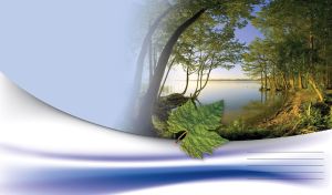 Green leaf on the lakeside of the green summer forest next to the blue lake surface