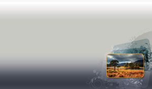 Landscapes Miniatures | Adorned with floral silhouette pattern on pastel gradient