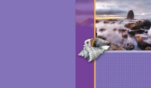 White seashell against the hazy rocks at a yellow gray dawn