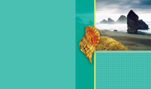 Orange seashell against the cliffs in foggy sea waters on teal green