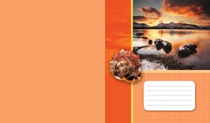 Orange seashell against black stones by the mountain lake in the golden sunset