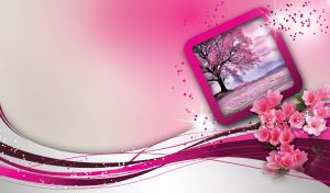 Framescapes with Perspectives | Landscapes Set in Frames over Elegant Gradients