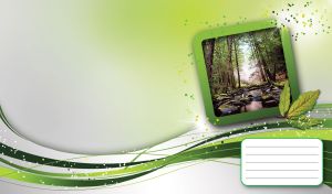 Photo of rocks in a forest river forest in a square frame on a green gradient