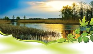 Leafy Frame of Nature | Landscapes Within Leaf Borders