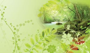 Seasonal Beauty in Nature | Landscapes Painted by Seasonal Floral Patterns