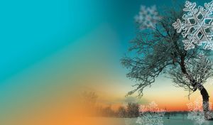 Lone frost tree on a winter morning beneath the teal-to-orange gradient sky