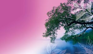 Branches of a green tree lean over a blue river in the blue-to-pink gradient sky