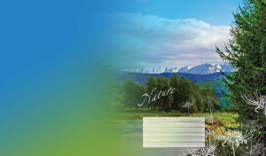 Valley of fir trees on the backdrop of mountains in the blue-to-green gradient sky