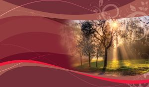 Sun rays pass through the Spring trees in the park against a maroon palette background