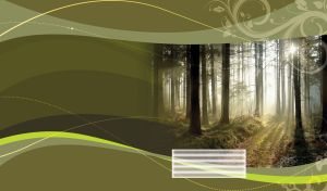 Hazy tree trunks in the morning sun rays against an olive-gray palette background