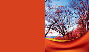 Trees and bushes with pink leaves in a yellow field on red cloth background