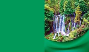 A waterfall overgrown with trees in a green forest with green cloth background