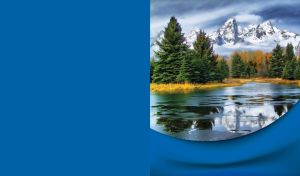 Coniferous forest on bank of river and snowy mountains on blue cloth background