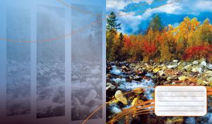 Rocky creek in the red and orange forest with blue vertical monochrome panes