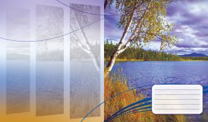 White birch on a grassy river shore under cloudy sky with faded panes