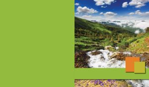 Stream in a green valley on a blue sunny day on a yellow-green background