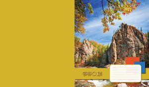Trees in a summer forest grow over rocks on an olive-yellow background
