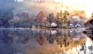 Mystical Mornings | Rediscovering Nature’s Lost Wildness