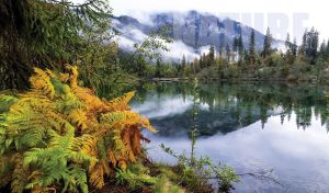 Gray-blue lake at the foot of the misty mountains in a green wild forest