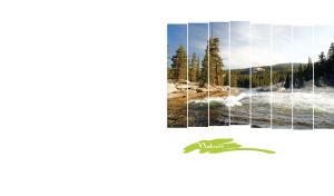 Panorama of a river flowing through a spruce forest in vertical frames on white