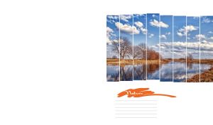 Panorama of fall trees under an autumn cloudy sky in vertical frames on white