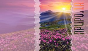 Nature | Scenic Naturescapes Decorated with Filters