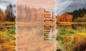 Ocher autumn forest and the grey clouded sky reflected in the waters of the lake