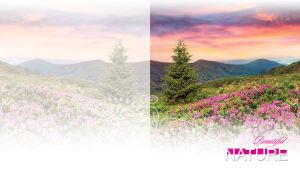 Beautiful Nature | Harmonious Landscapes with Duplex Backdrops