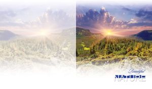 Green conifer forest in a valley at sunrise on pastel white floral backdrop