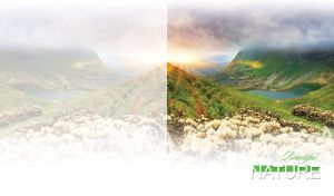 Wildflowers on a green hill and a mountain lake on pastel white floral backdrop