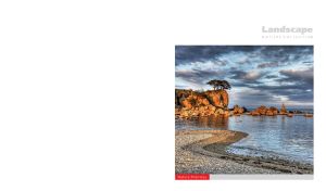 Pine trees on the edge of an ocher cliff by the grey ocean on a white backdrop