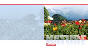 A green meadow poppies against a town at the foot of a mountain